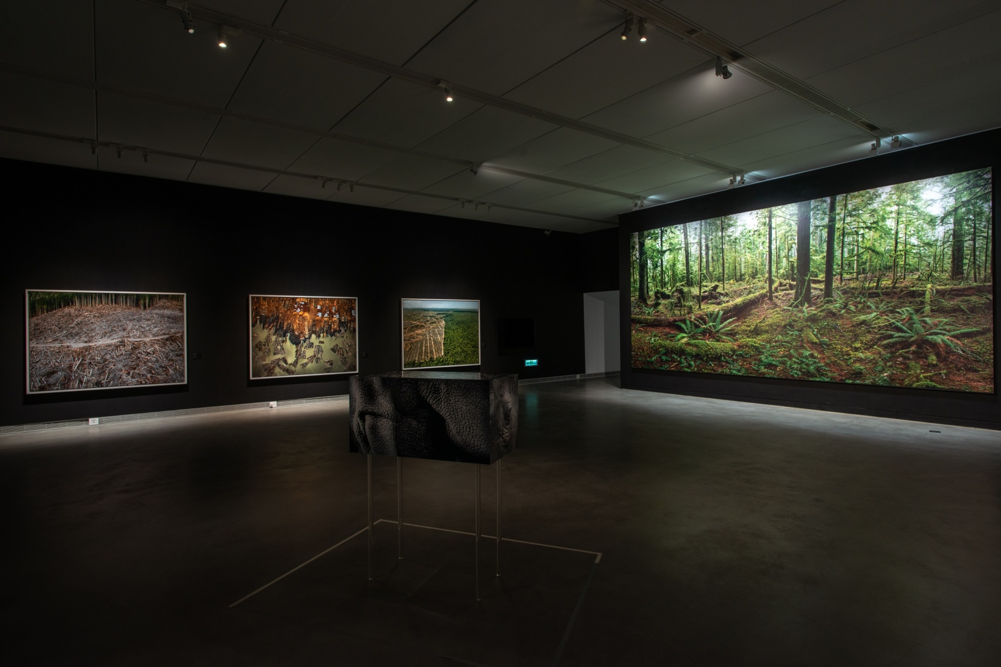 與藝術家對話：《人類世－凝視．消逝中的地表》特別講座側記（下）