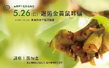 生態推廣講座｜ 邂逅金黃鼠耳蝠