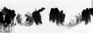 劉白作品〈舞〉，2013，攝影印於畫布，100x250cm，高美館典藏。
