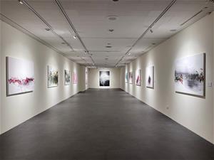 高美館市民畫廊《光．動．禪—劉白個展》展場一景。