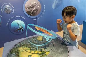 高雄兒美館新展《小阿法α大未來》以海洋為主題，邀請大小朋友關心海洋環境議題。(1)（攝影：林宏龍）
