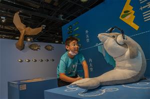 高雄兒美館新展《小阿法α大未來》以海洋為主題，邀請大小朋友關心海洋環境議題。(2)（攝影：林宏龍）