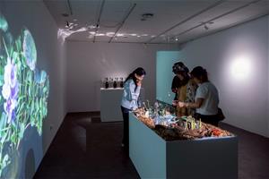 作品《我們水中所見》延伸自《連結失落的風景》與《與布袋蓮的共修關係》兩件作品，結合陶瓷雕塑、影像、香氛等元素，探索人類與「非人世界」的關係。