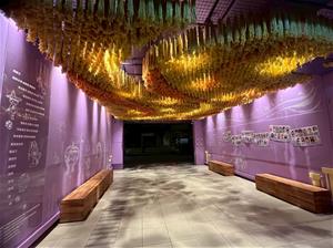 新興國小的穿廊呼應在地稻浪地景，透過光影變化增添孩子們創作美學的生命力。