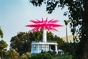 圖10｜英國藝術家Steve Messam於高雄果嶺自然公園之作品〈冠〉_0