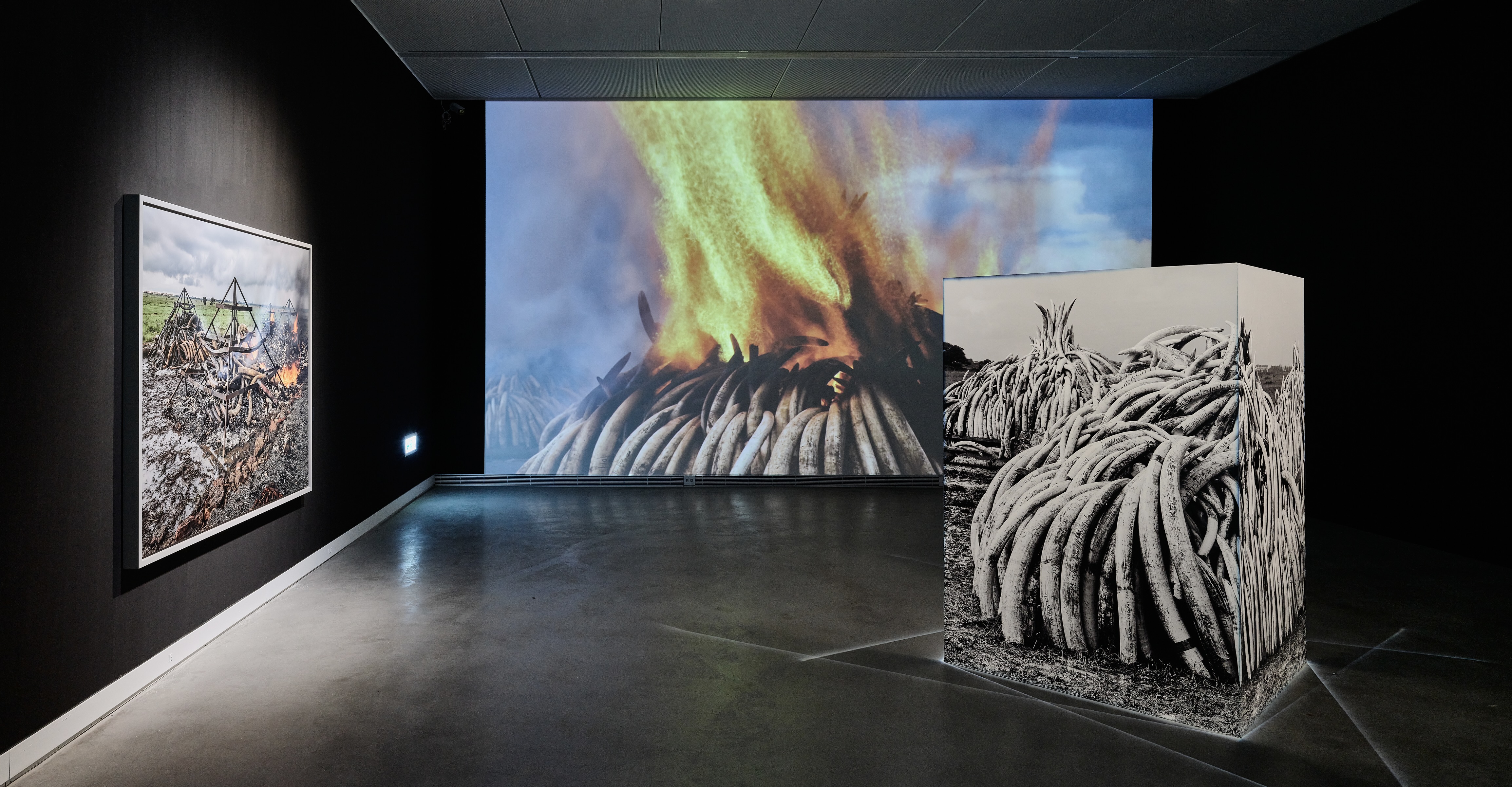 地景成為奇觀: 從高美館「人類世－凝視．消逝中的地表 」特展談地景再現