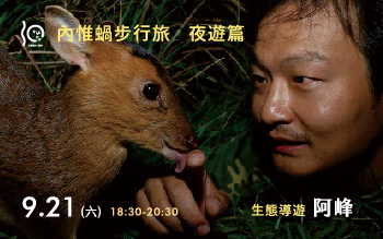 【內惟蝸步行旅】 夜遊篇-夜間生態觀察｜阿峰