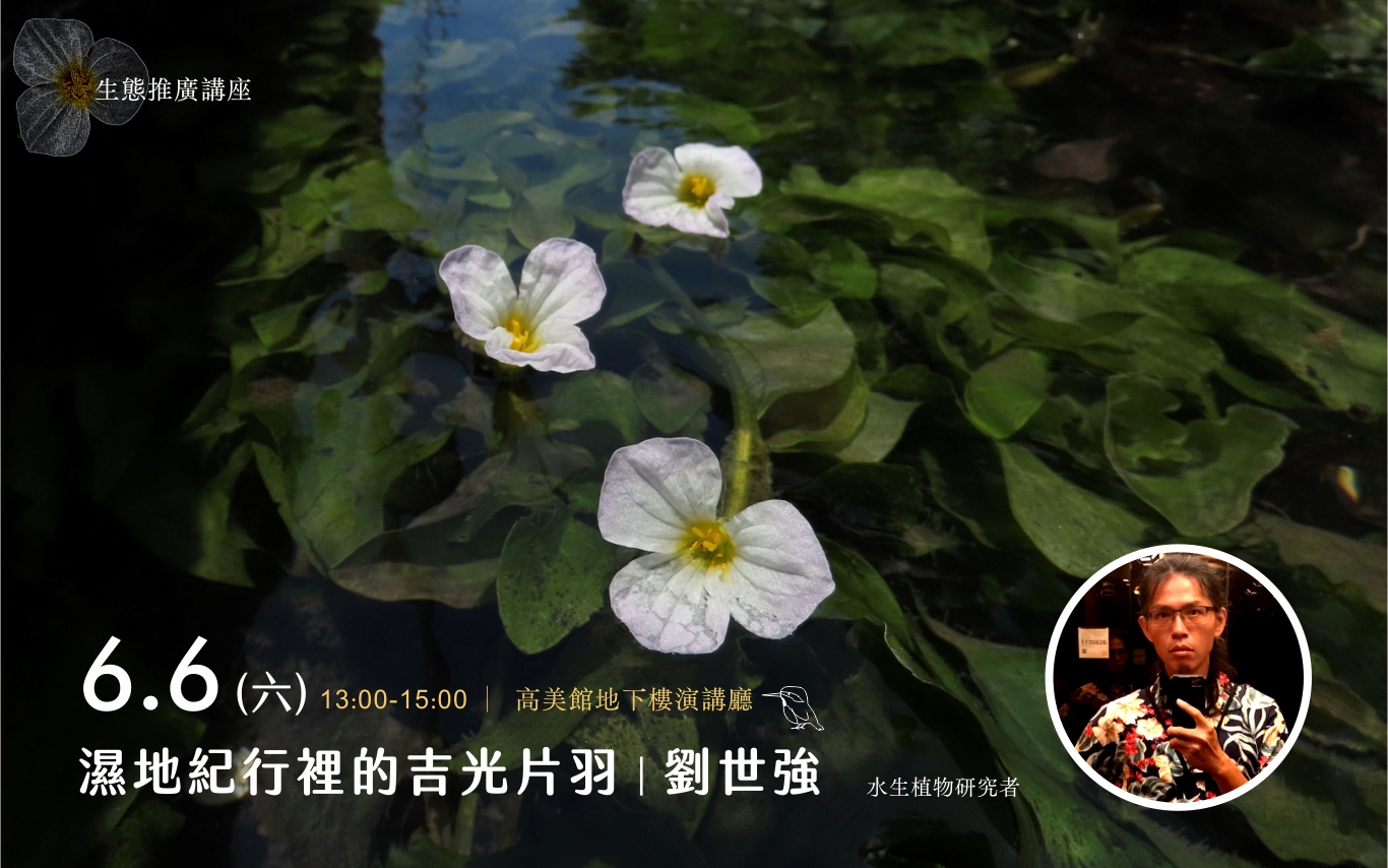 6/6(六)生態推廣講座｜濕地紀行裡的吉光片羽