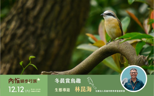 [低碳公園]12/12(六)內惟蝸步行旅-冬晨賞鳥趣