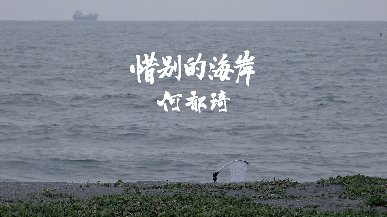 9月1日（日）《惜別的海岸》系列放映講座